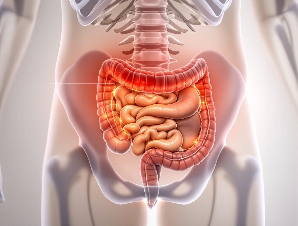 douleur psoas et intestin